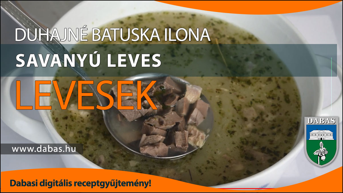 Duhajné Batuska Ilona - Savanyú leves