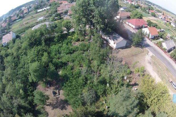 image-tokai012cea3a43c-b8a0-7ea0-470c-9af1b80de0cc51A0B7E7-1341-65B9-55A2-3290D6B86601.jpg