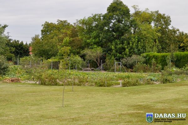 Dabasi Egyesített Óvodák