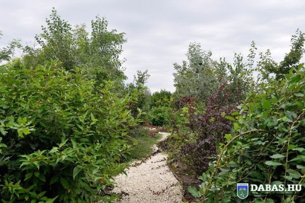 Dabasi Egyesített Óvodák