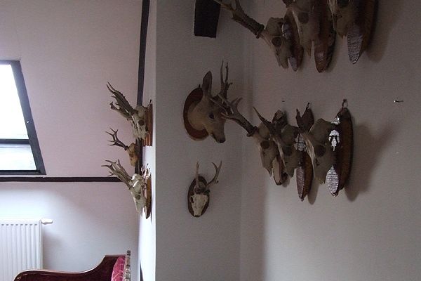 Velikovszki Pál Emlékszoba