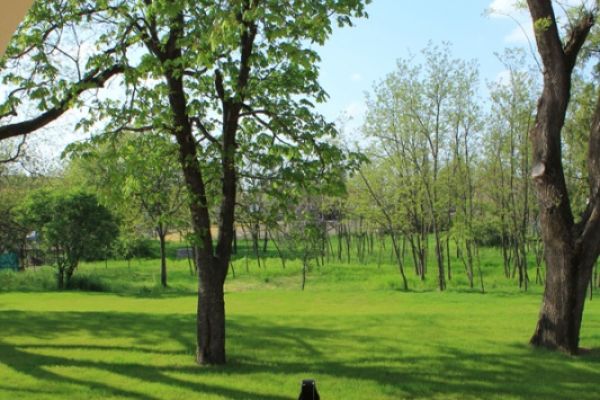 Nemes-kúria Közösségi Színtér