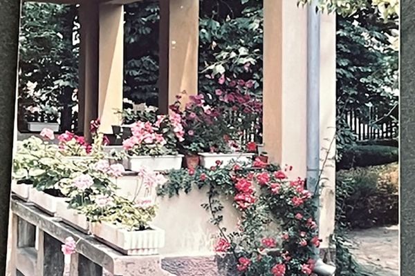 Dr. Szűcs István munkássága és szerepe a dabasi körzet 20. századi egészségügyi ellátásában