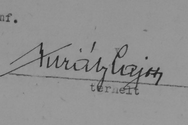 Király Lajos járási nemzetőrparancsnok tevékenysége 1956-ban 