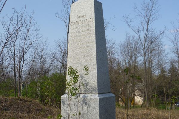 Csontos Lajos (1802-1862) felsődabasi kultúrmérnök adományozó tevékenysége  