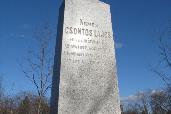 Csontos Lajos (1802-1862) felsődabasi kultúrmérnök adományozó tevékenysége  