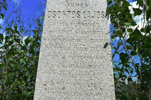 Csontos Lajos (1802-1862) felsődabasi kultúrmérnök adományozó tevékenysége  