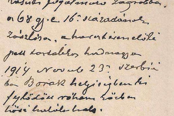 Domián János (1843-1917) jegyzői pályafutása Gyón községben