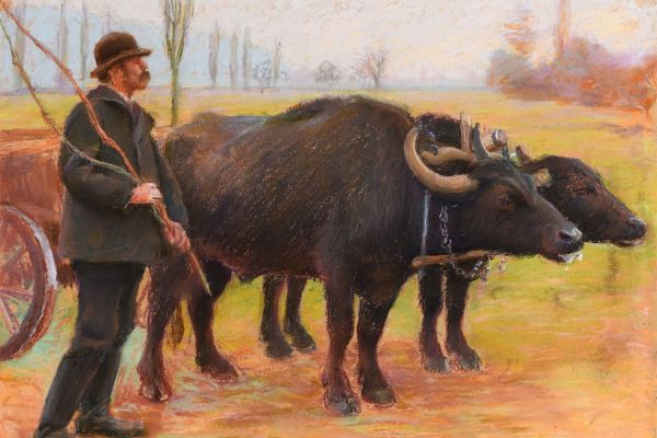 Székely József pályájának agrárgazdasági vonatkozásai