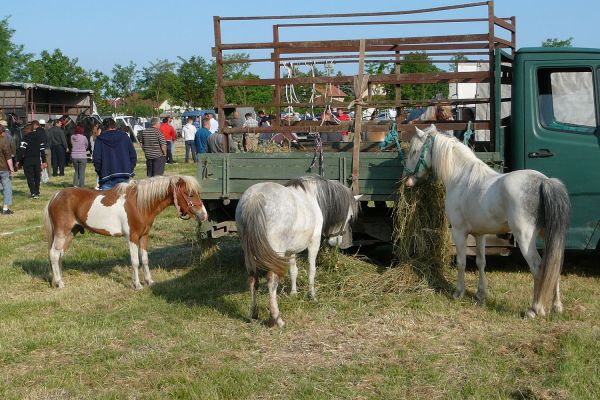 A felsődabasi vásár