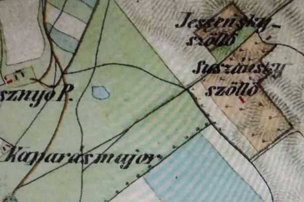 Szucsánszky Gyula (1832-1895) szerepe Felsődabas helytörténetében