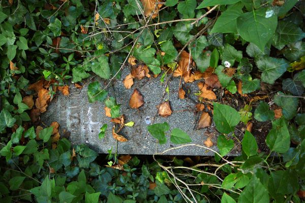 Tornóczi Lázár Zsigmond 184849-es hadnagy életútjának dabasi vonatkozásai