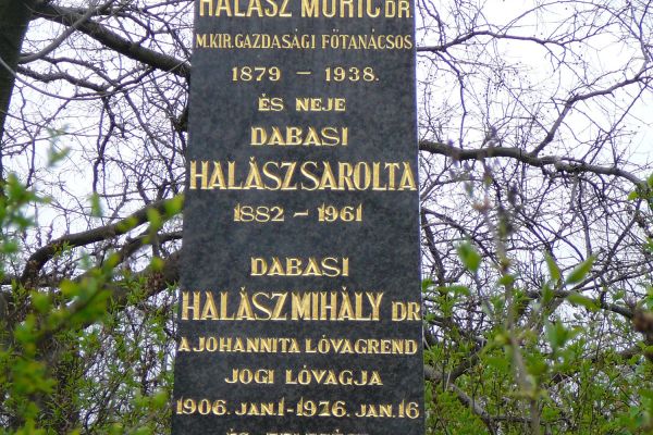 Dr. Dabasi Halász Móric könyve Magyarország első világháborús közigazgatási problémáiról