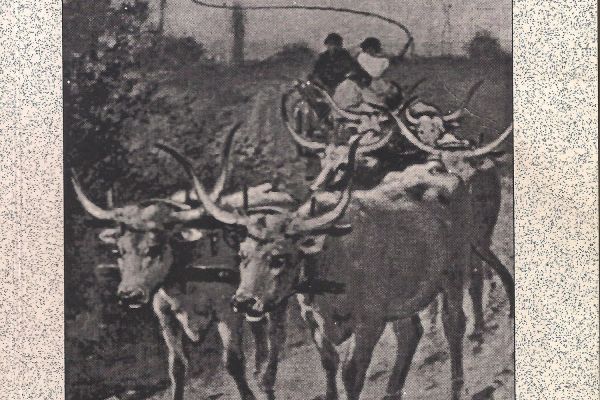 Az „Örökségünk” című sorozat kötetei (1999-2003)