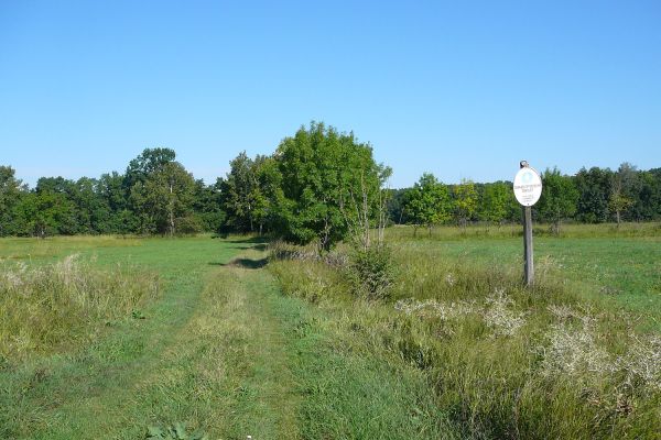 A Dabasi-turjános természetvédelmi terület