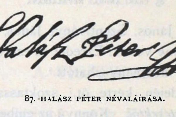 Halász Péter és Halász Zsigmond katonai pályafutása