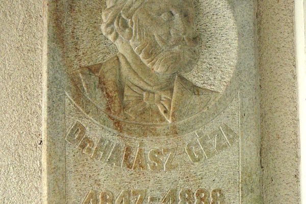 Dr. Dabasi Halász Géza (1817-1888) orvosi és közéleti munkássága