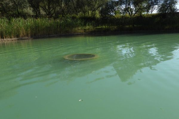 A tó és környéke