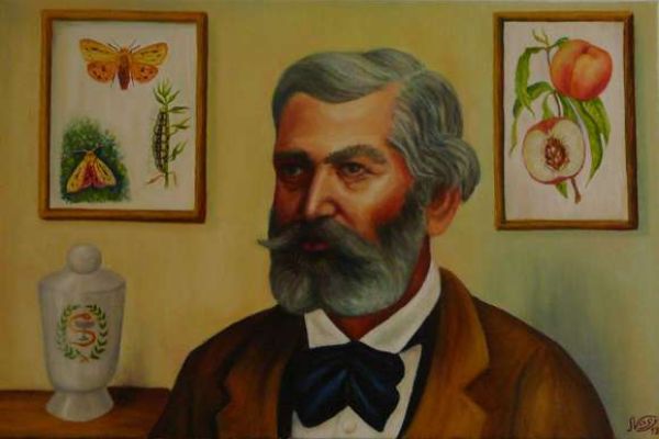 Metelka Ferenc patikaalapító tevékenysége