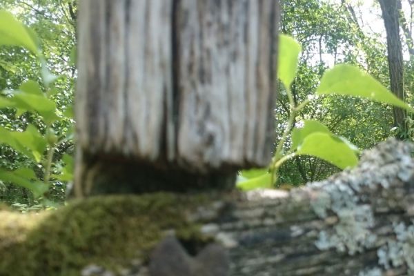 A Felsődabasi öregtemető