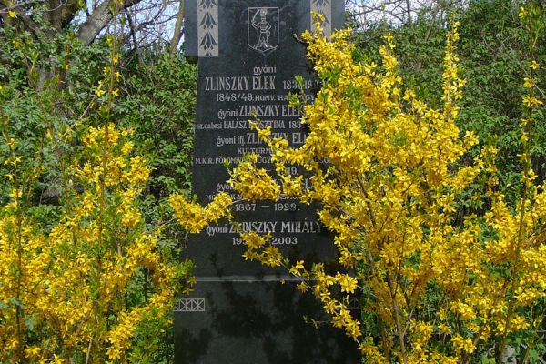 Zlinszky Elek életútja és síremléke