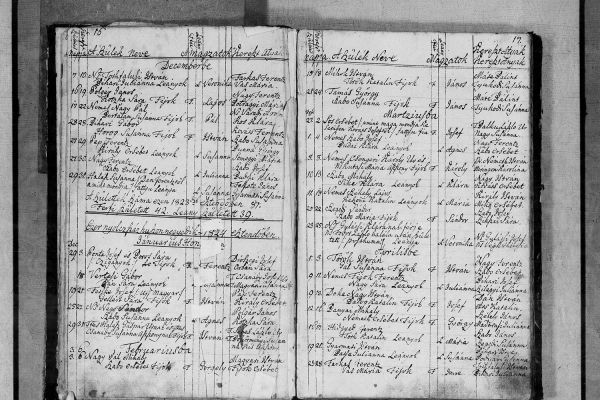 Dabasi Halász István 1824