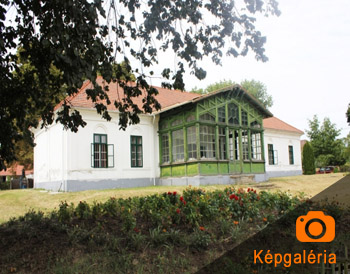 konyvtar 001