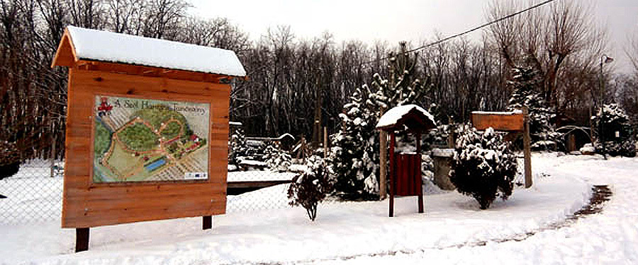 Új információs táblák és várostérképek kerültek kihelyezésre a Városban 