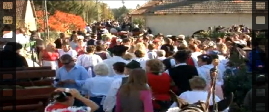 Szüreti felvonulás Dabasi-szőlőkben