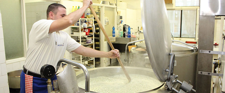 „Új közétkeztetés”