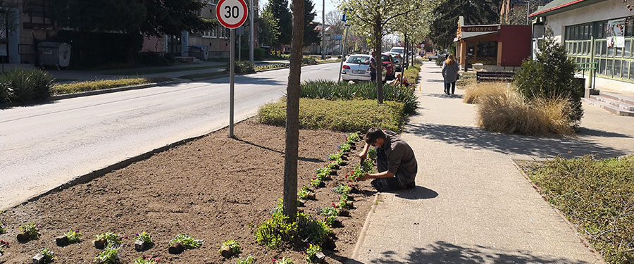 Ültess virágot Dabas!