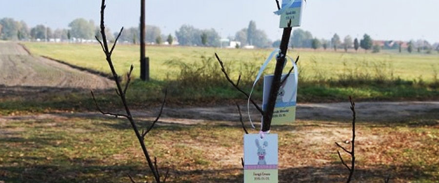 Újszülöttek Ligete