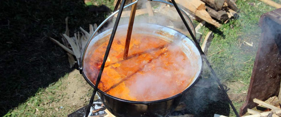 Programok és rendezvények