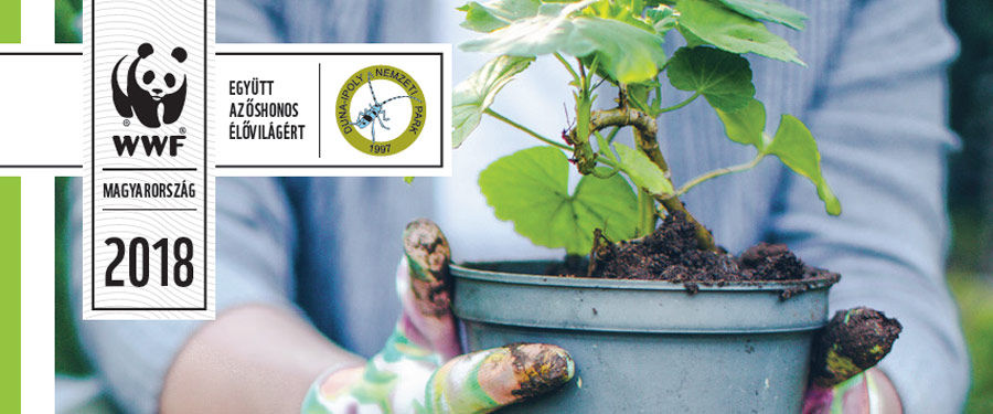 Veszélyes növények a kertünkben