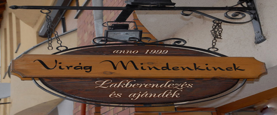 Gogolák Mária- Virág Mindenkinek Kft. vezetőjével készült beszélgetés