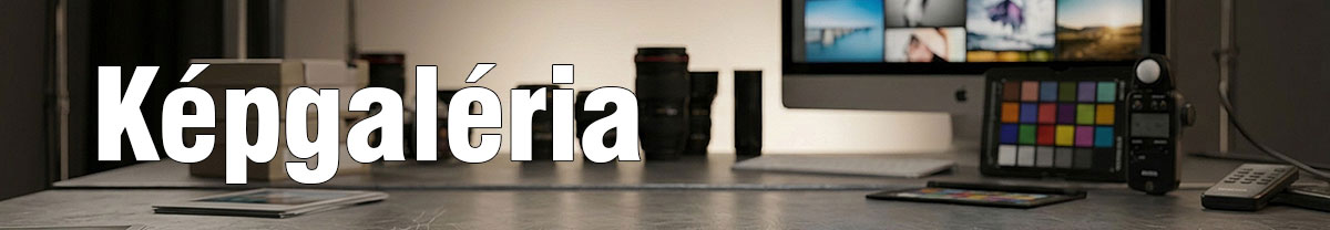 Képgaléria oldal header képe, ami illusztráció és egy fényképész munkaasztalát mutatja.