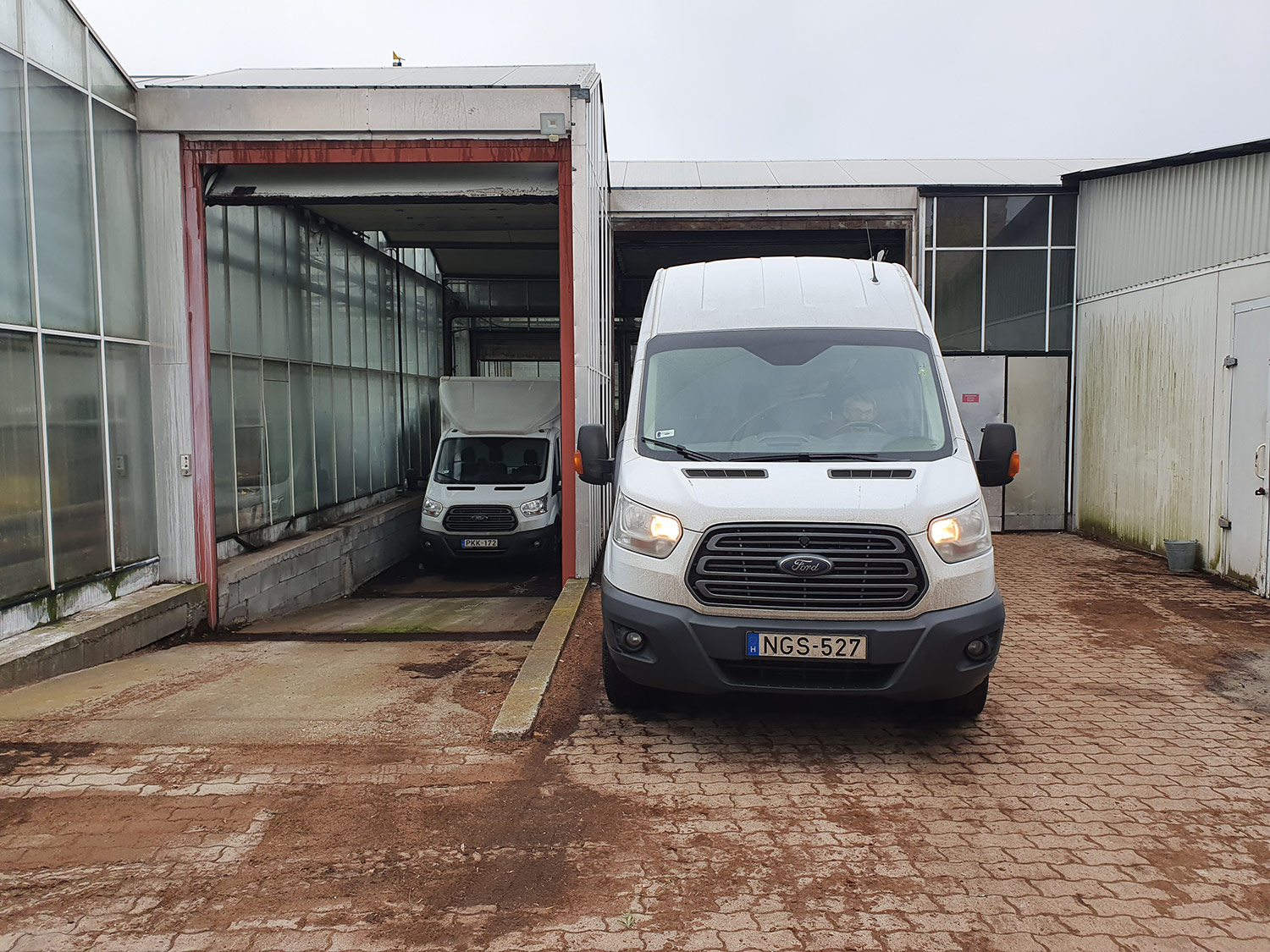 Az Eke Liliom Kertészet üvegházi vágott liliomai