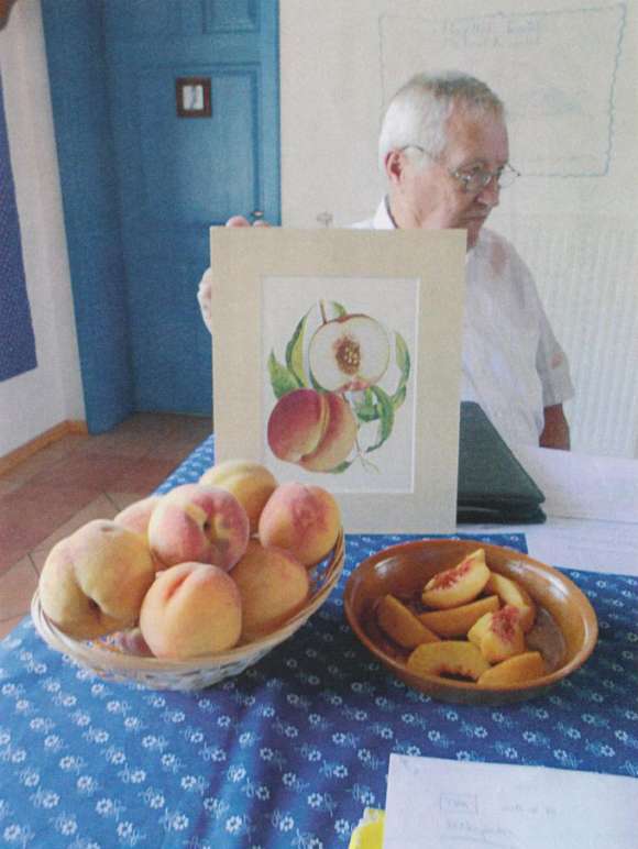 metelka dijas barack02