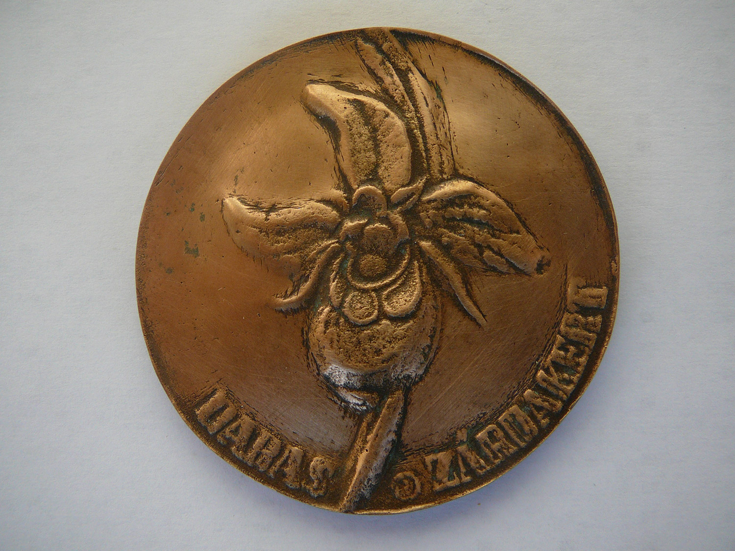 Címervirágunk, a szarvasbangó