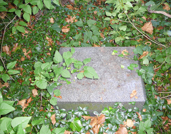 Tornóczi Lázár Zsigmond 1848/49-es hadnagy életútjának dabasi vonatkozásai