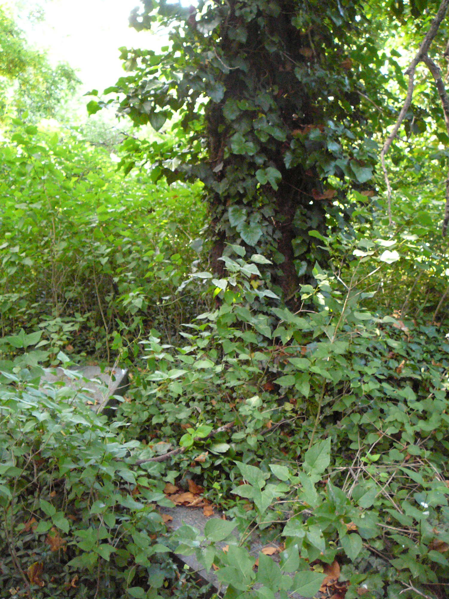 Tornóczi Lázár Zsigmond 1848/49-es hadnagy életútjának dabasi vonatkozásai