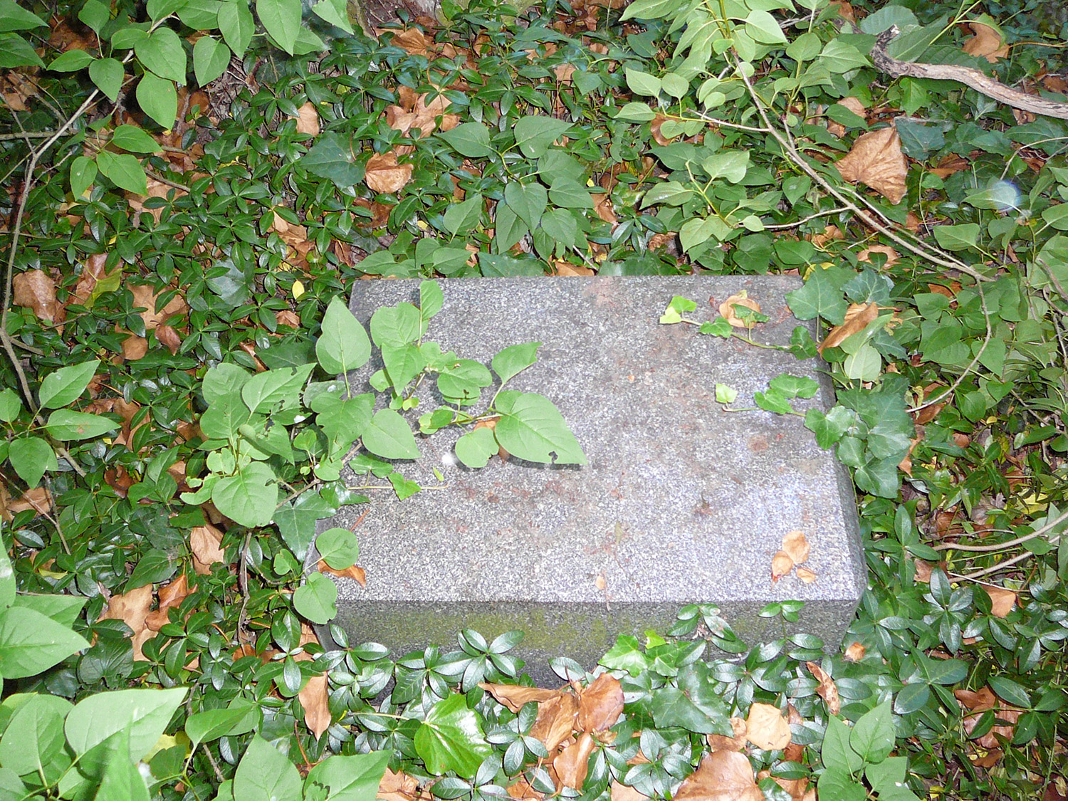 Tornóczi Lázár Zsigmond 1848/49-es hadnagy életútjának dabasi vonatkozásai