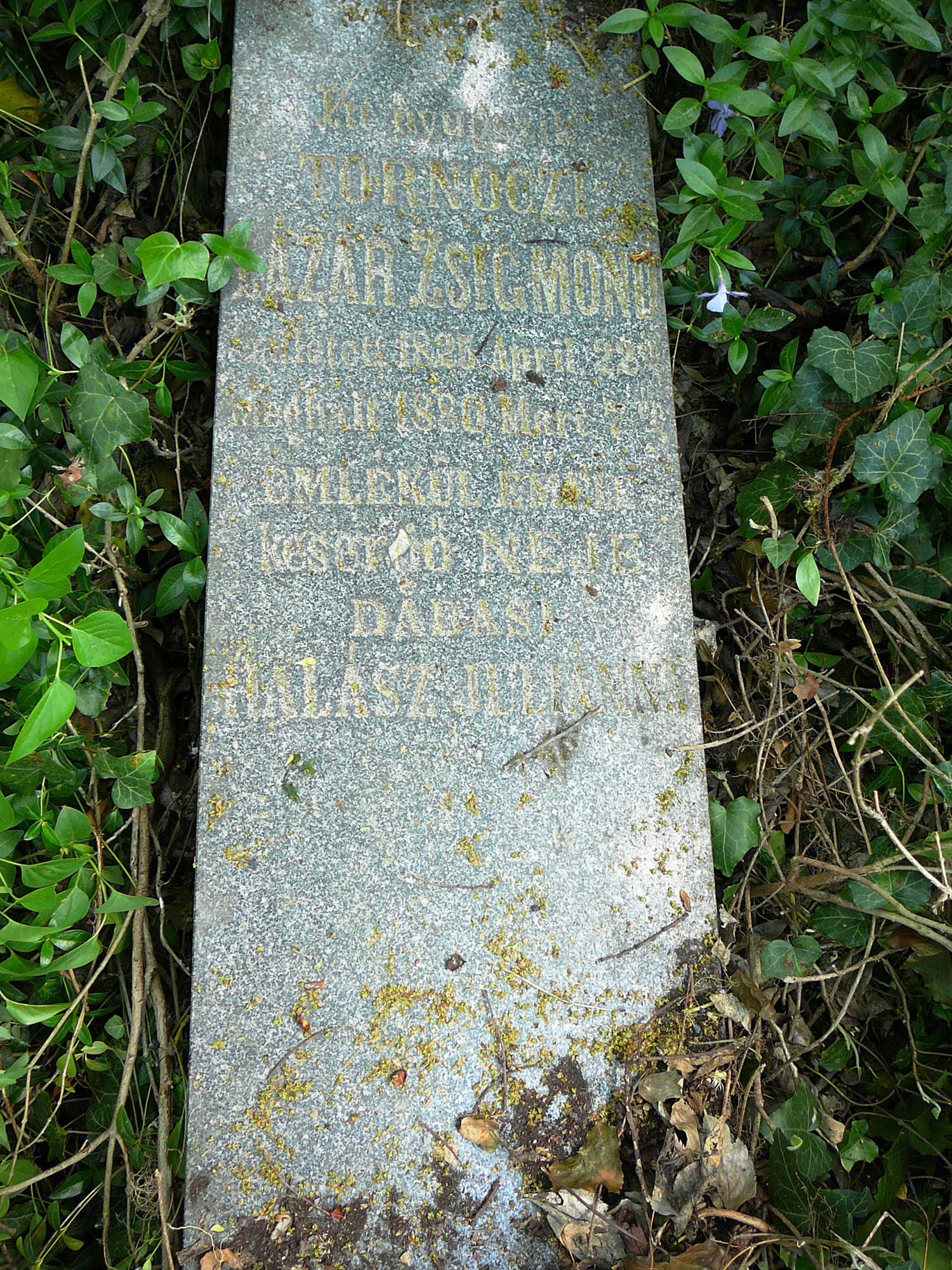 Tornóczi Lázár Zsigmond 1848/49-es hadnagy életútjának dabasi vonatkozásai