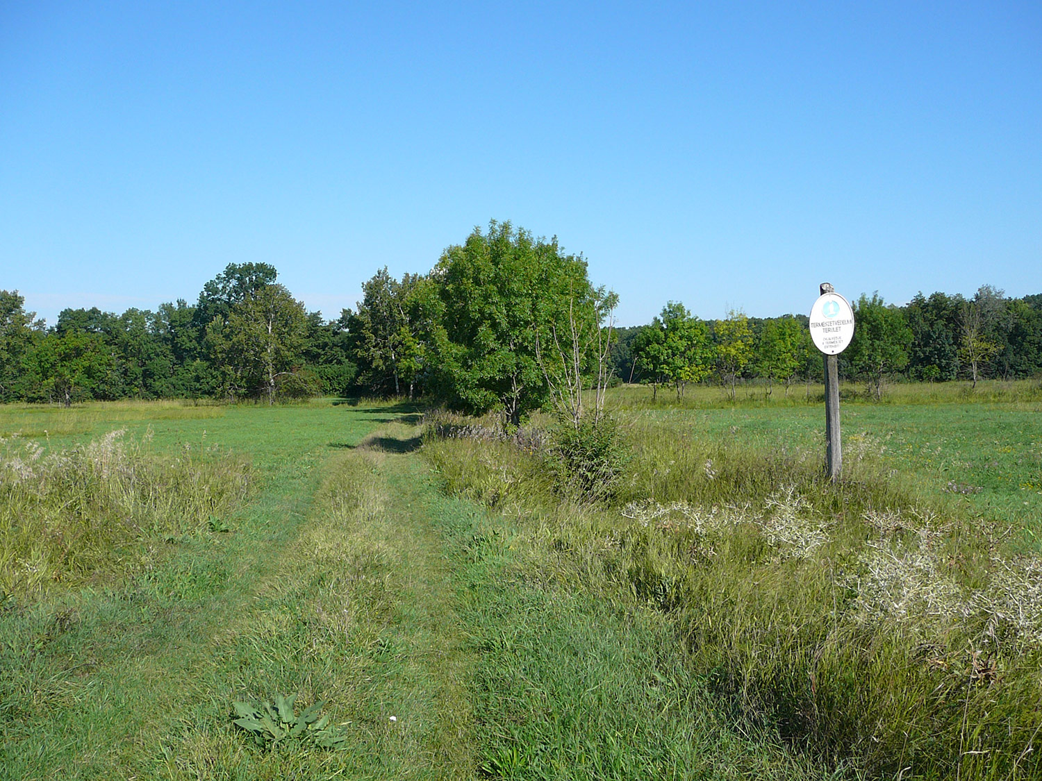 A Dabasi-turjános természetvédelmi terület