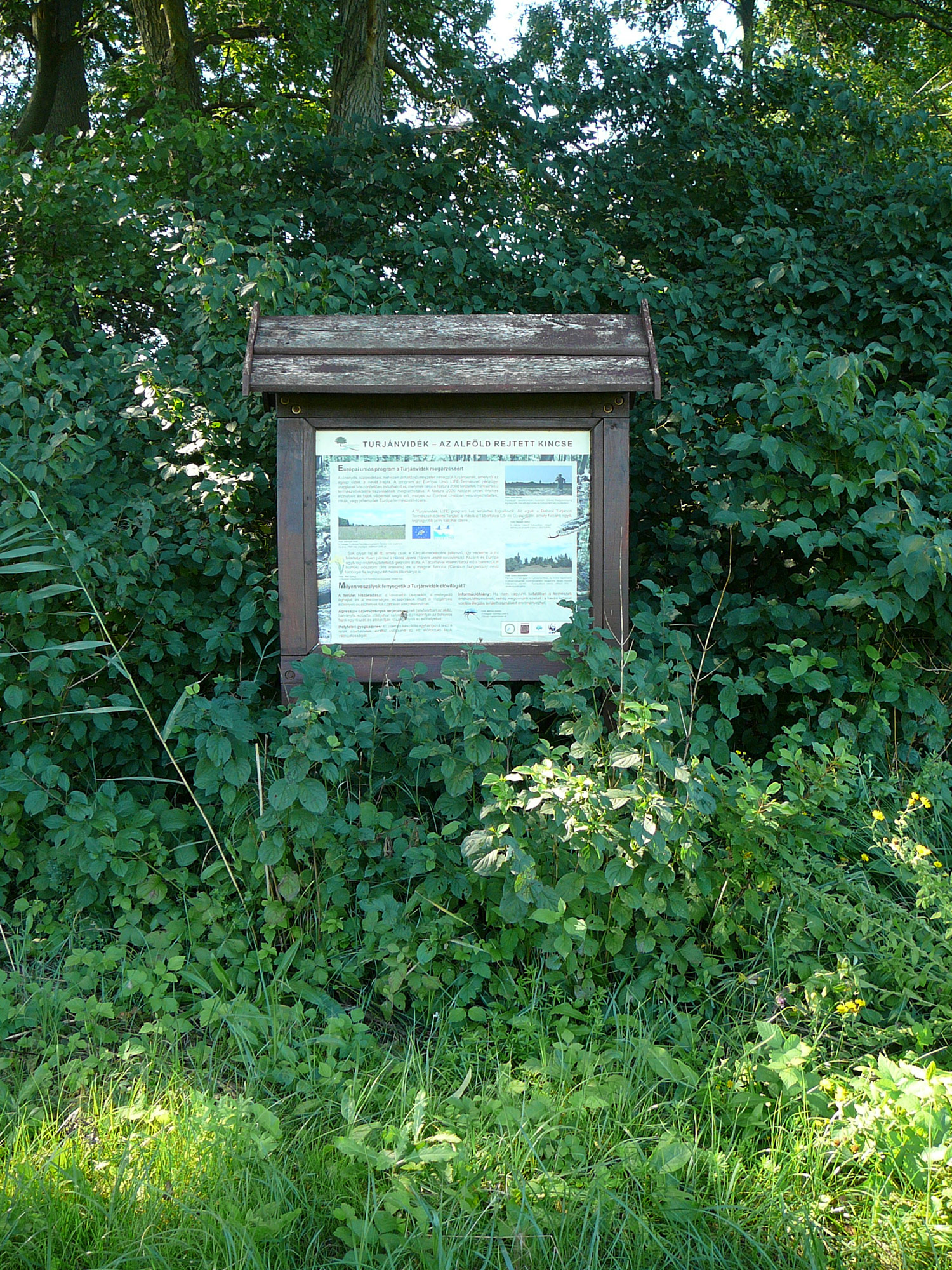 A Dabasi-turjános természetvédelmi terület