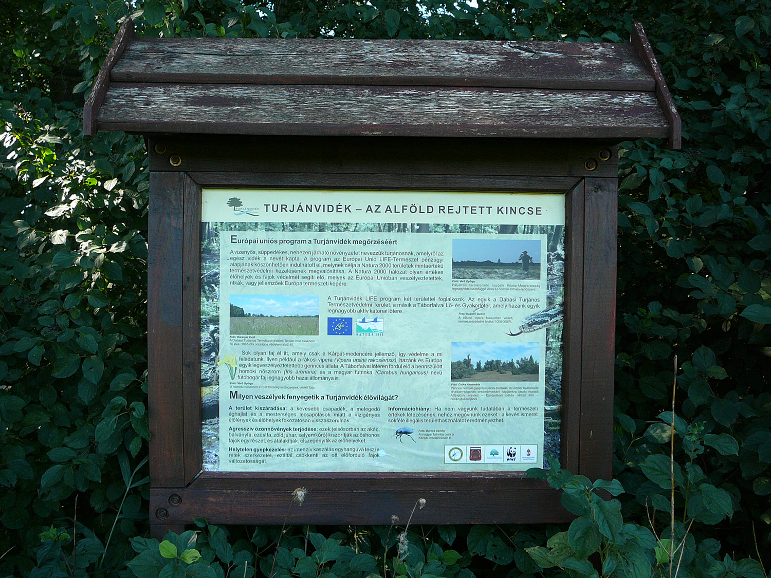 A Dabasi-turjános természetvédelmi terület