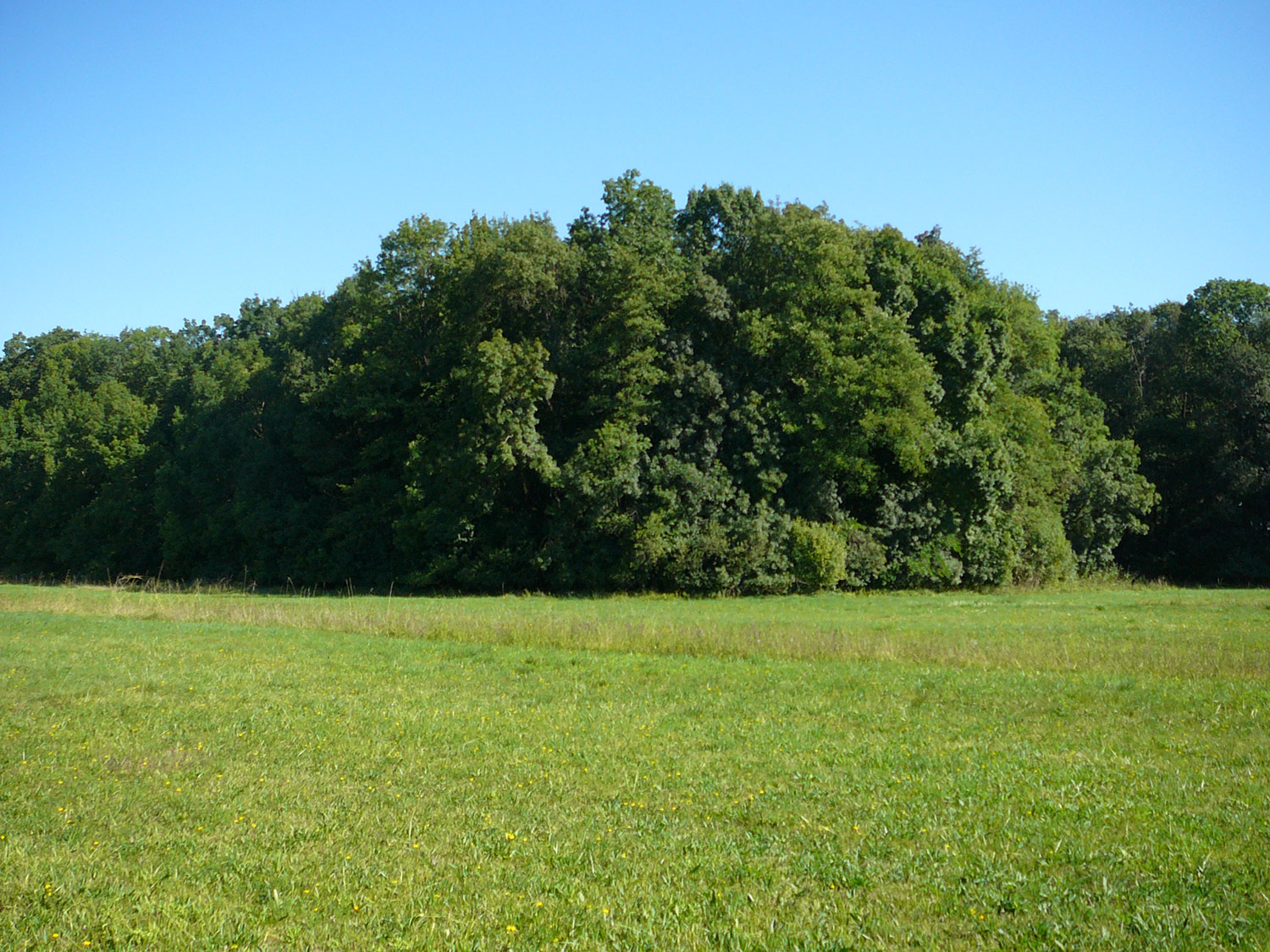 A Dabasi-turjános természetvédelmi terület