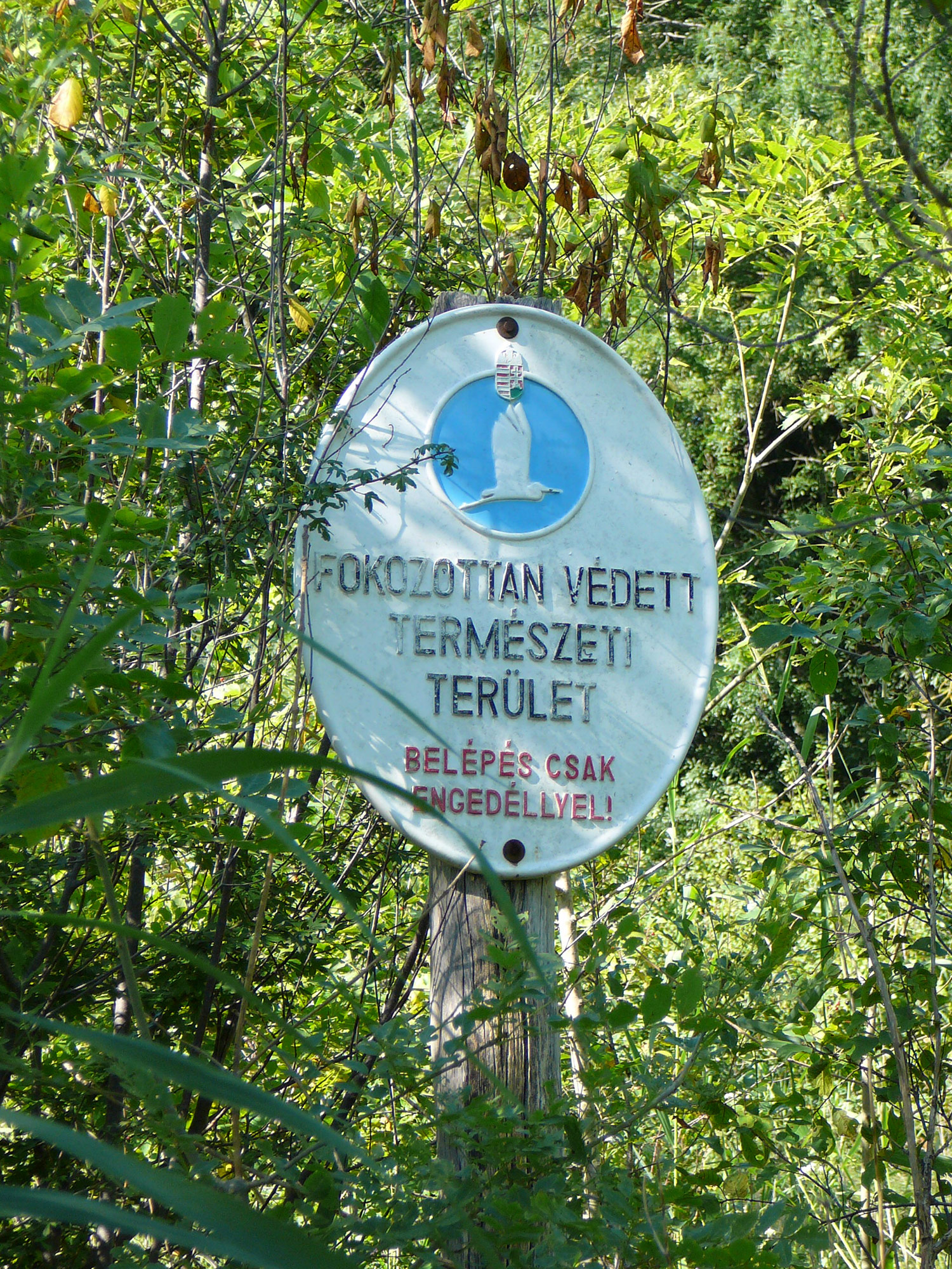 A Dabasi-turjános természetvédelmi terület