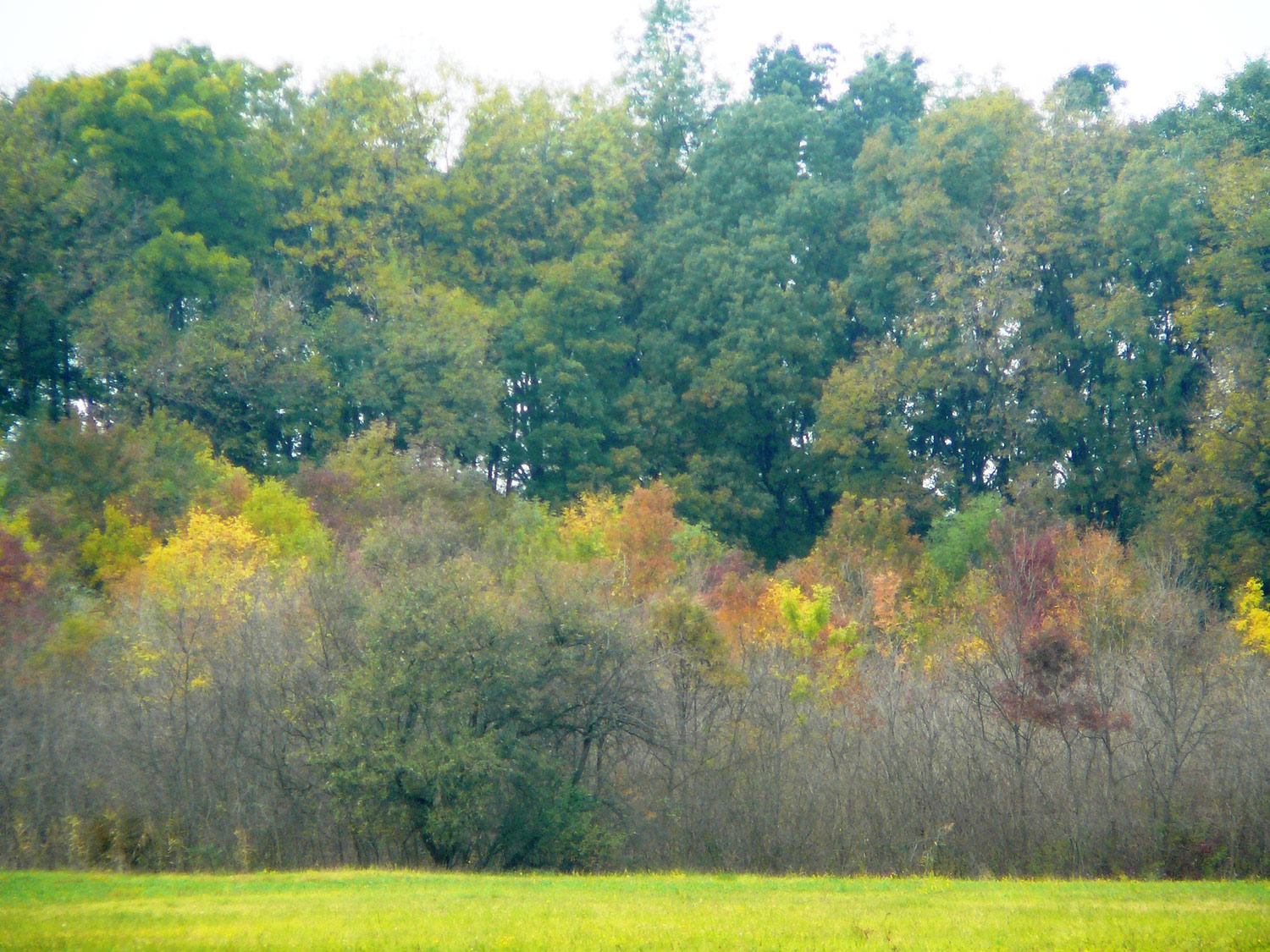 A Dabasi-turjános természetvédelmi terület