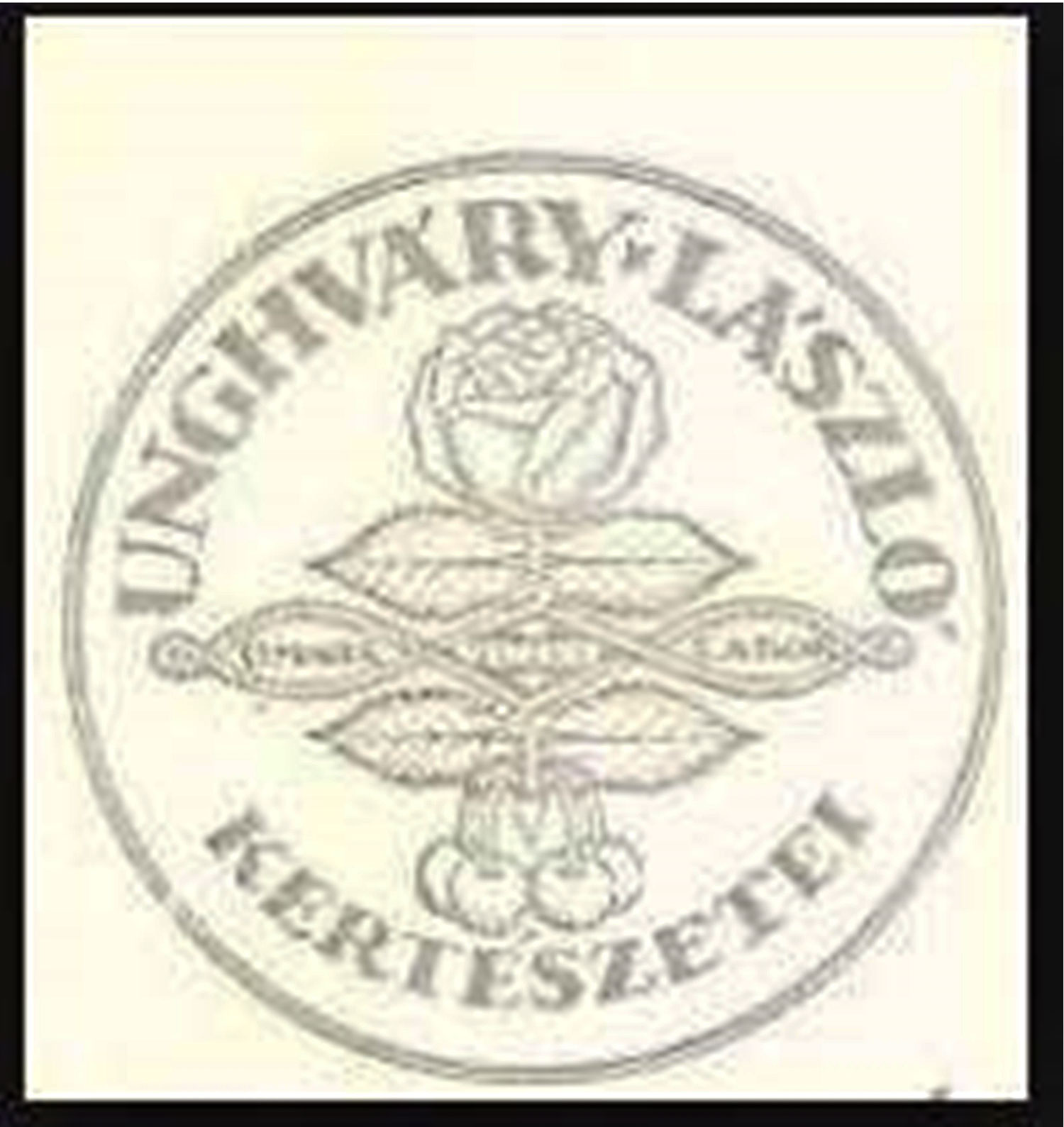Unghváry László gyóni birtokalapító tevékenysége 1898-1919